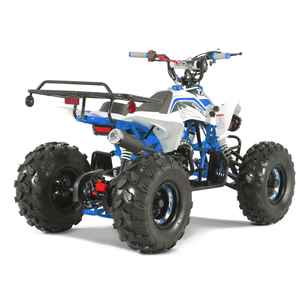 2023 New Motorbike Buggy ATV Quad 110cc 125cc ATV