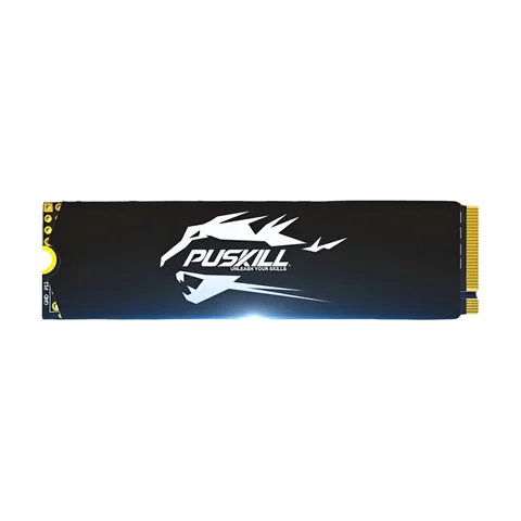 PUSKILL SSD M.2 NVMe 1TB 512GB 256GB 128GB PCIe M2 2280 Hard Disk
