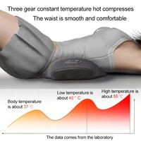 Waist Pillow Bed Sleeping Waist Protection Pad Electric Massage Lying Flat Waist Pain Waist Support Heating Vibrating Sleep Pad 2