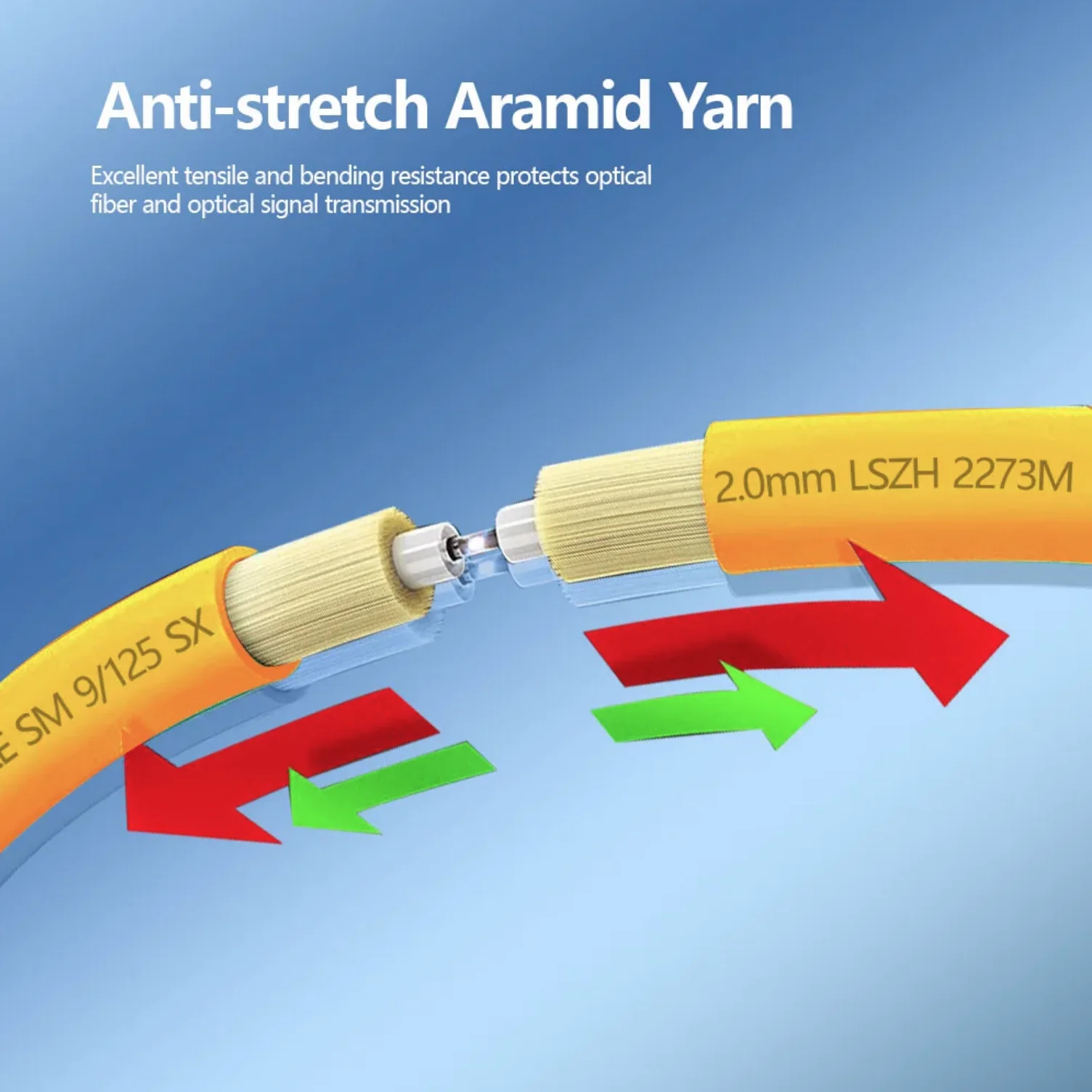 Fiber internal structure