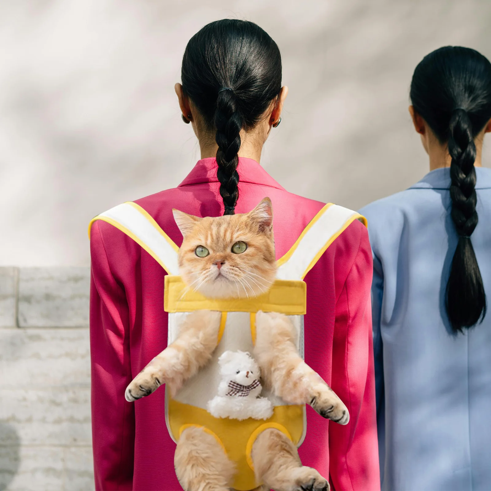 

Pet Backpack Front Carrier for Small Dogs Medium Cats Double Shoulder Design Breathable Hiking Travel Outdoor Carrier