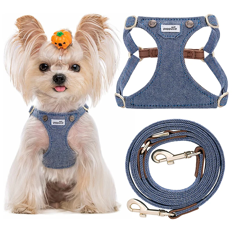 

No Pull Dog Harness and Leash Set Cute Pet Harness Vest Soft Padded Adjustable No Choke Walking for Puppy Small Medium Dogs