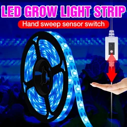 LED Plant Grow Light Strip Hydroponics Phytolamp Indoor Cultivation Lamp For Seedlings  Flower Seeds Grow Box LED Plant Lights