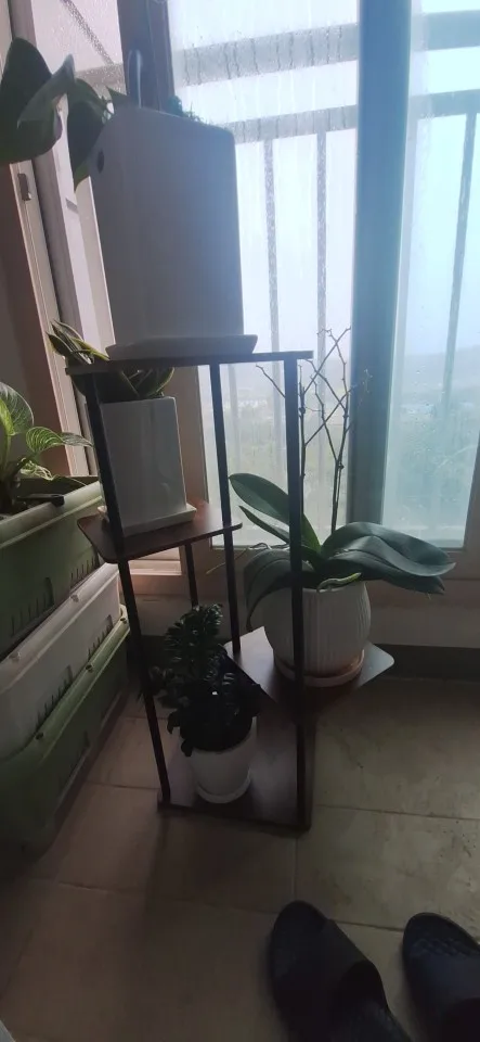 리뷰 사진