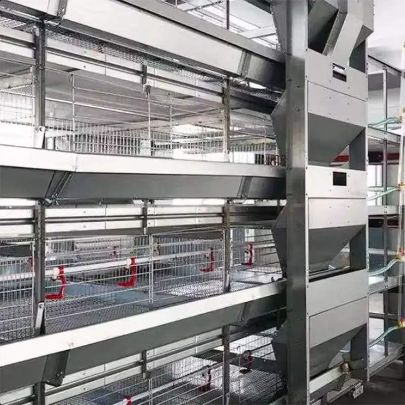 New ODM Brand H-Type Automatic Layer Chicken Raising Equipment 304 Stainless Steel Battery Cage Auto Egg Collecting Machine