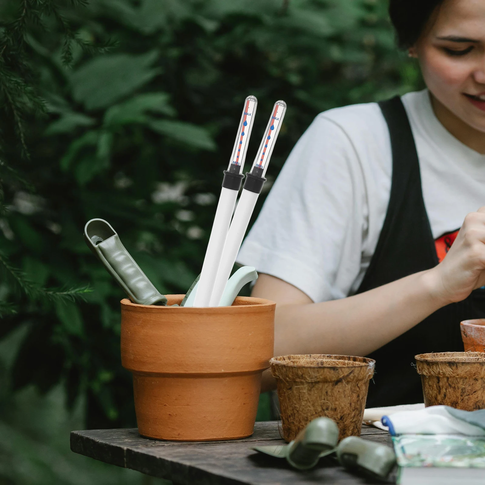 

2 Pcs Water Level Indicator Dwc Buoy Potted Plant Needs Watering Device White Indicators Devices