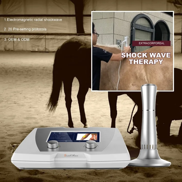 Veterinary equipment Shockwave Physiotherapy for horse and small pets therapy BS-SWT2X