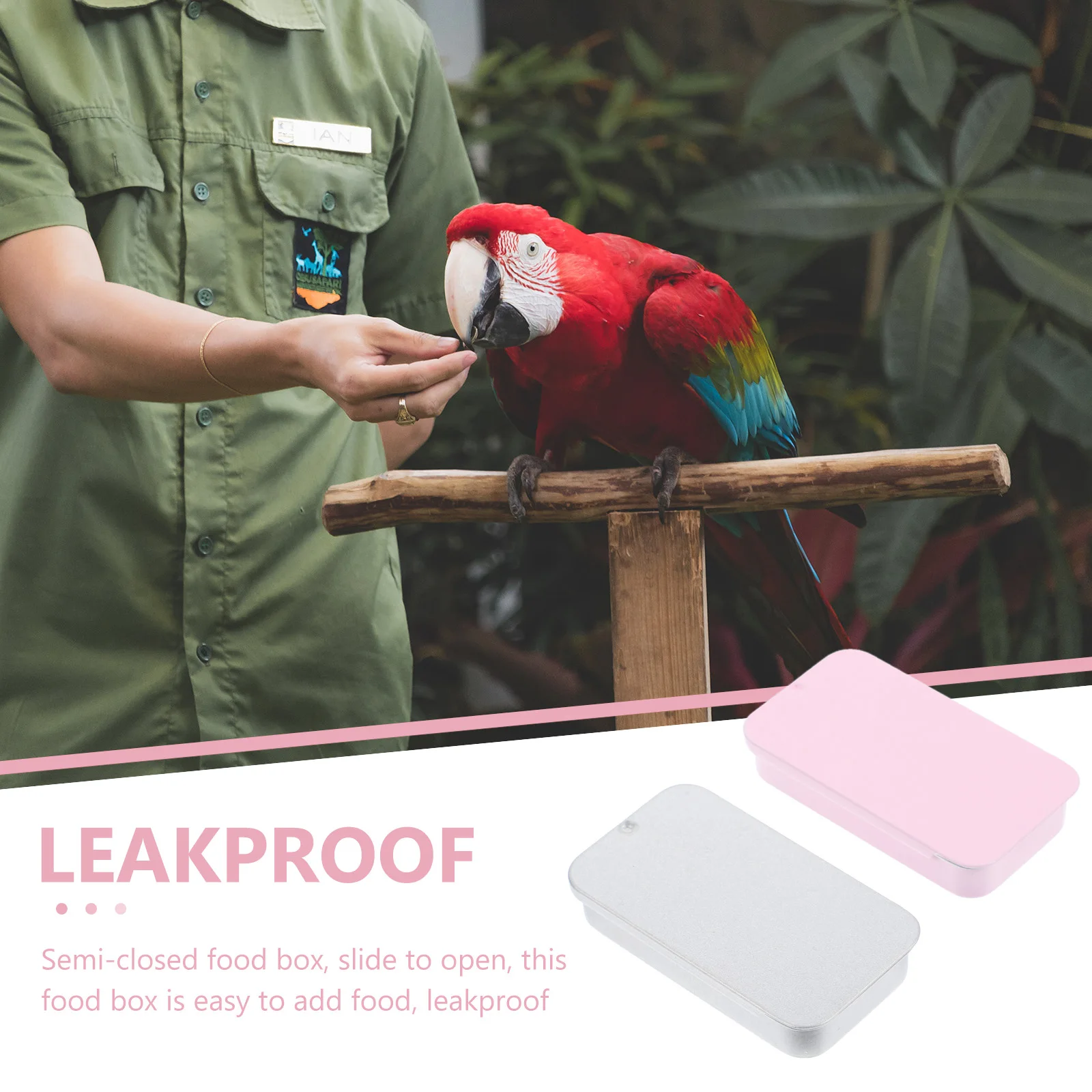 

2 Pcs Outdoor Bird Feeder Training Box Feeders Parrot Food Container Feeding Station