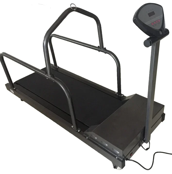 Pet Animals use treadmills that can electrically lift and lower to adjust their height and speed for dog health