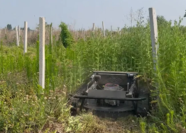 PRODUCT-Industrial Remote Control Crawler Mower Track Lawnmower   16/22HP 4-STROKE