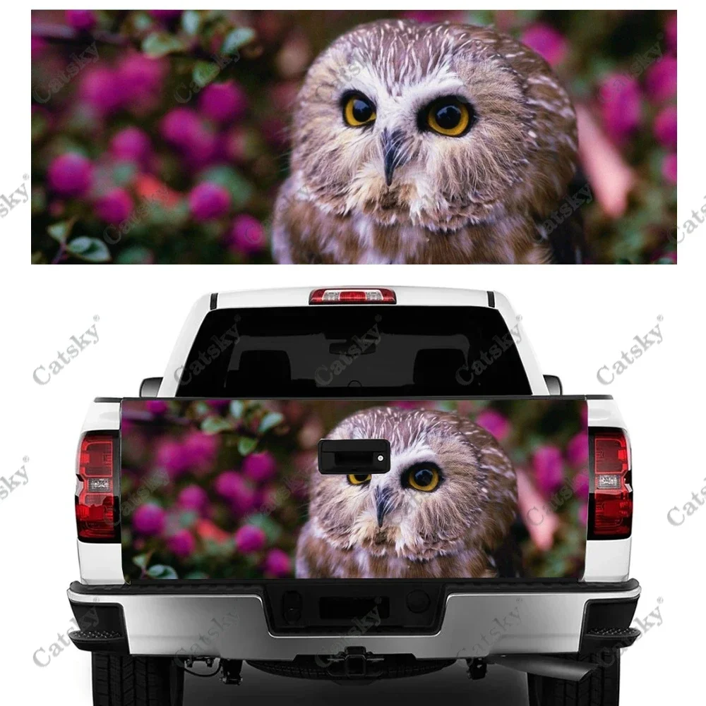 

Автомобильные аксессуары с милой совой на заказ, защита багажника, виниловая наклейка, декор на капот, крышка двигателя для внедорожника, внедорожника, пикапа