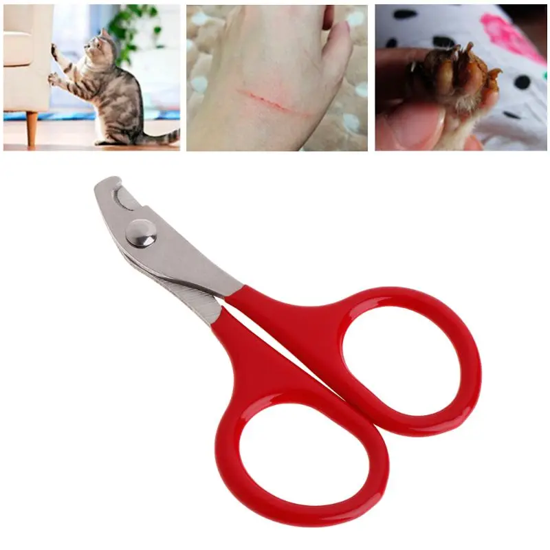 Cão para gato cortador unhas pet aparadores unhas para gato garra cortadores pet grooming tesoura para pássaros filhote