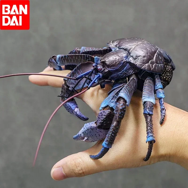 Original Bandai Coconut Crab Figure Biographical Encyclopedia Gashapon Pvc Action Figurine Collection Model Doll Capsule Toys