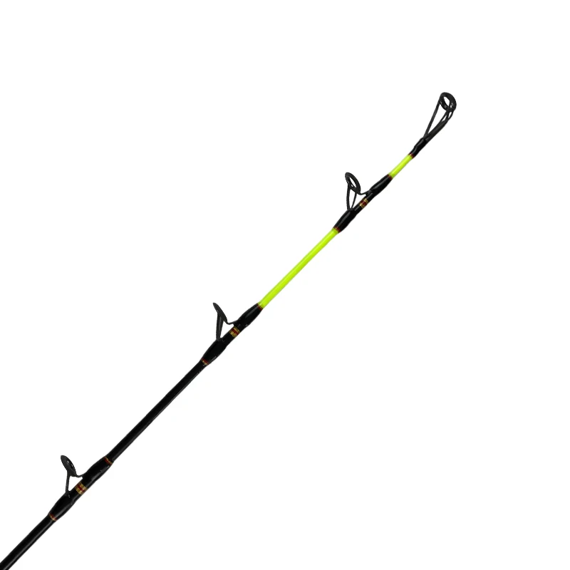 Sea Fishing Rod FUJI SIC NOEBY Big Game Trolling Rod Power Game Float Tube Saltwater view 3