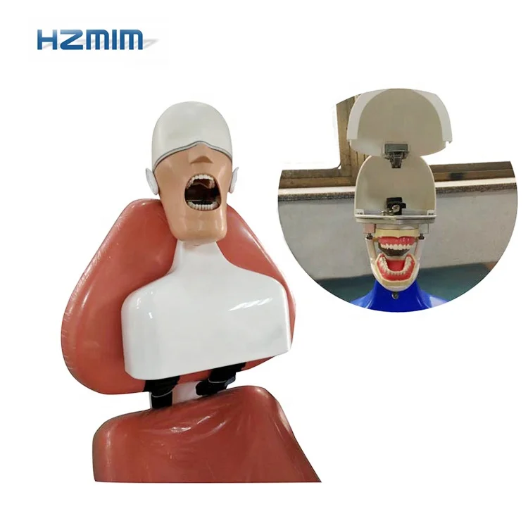 Dental Manikin Phantom Head Dental Simulator Dental Training Models Unit Tied To Chair