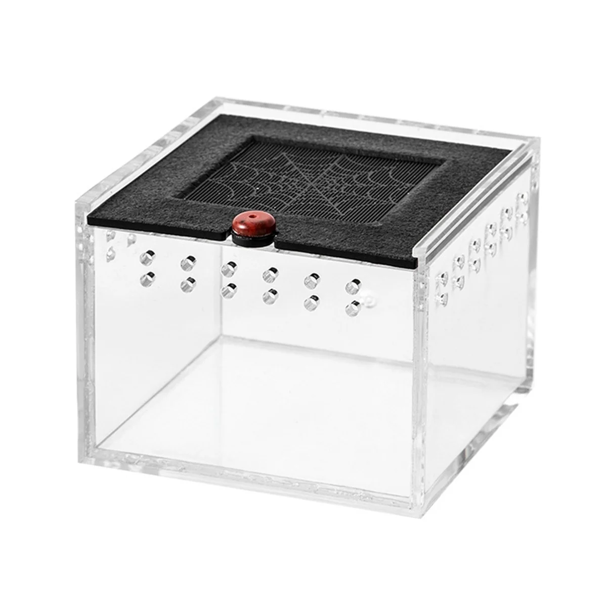 

Spider Enclosure Small Insect Breeding Box Prevent Escape Reptile Terrarium Insect Feeding Cage C