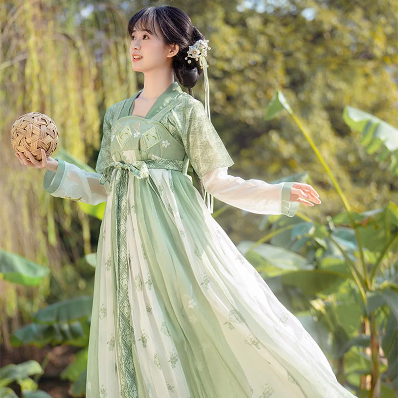 Chinese Traditional Hanfu Costume Woman Ancient Han Dynasty Dress Oriental Princess Dress Lady Elegance Tang Dynasty Dance Wear