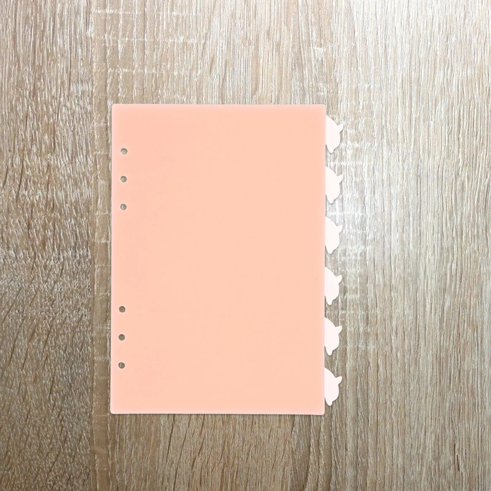 6Pcs Dolphin Tab Binder Dividers A5 Plastic Index Dividing Sheets 6 Hole Ring Binder Accessories Cute Loose Leaf Page Markers