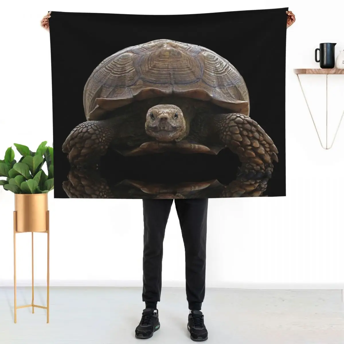 Sulcata Tortoise with Reflection Throw Blanket Polar Large Plush Sofas Blankets For Baby Hair Blankets