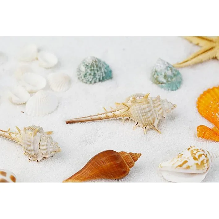 قذائف الحلزون Tenwish ونجمة مزينة التصوير الدعائم استوديو المعدات الخلفيات