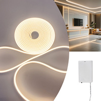 Dc5v Flexible Neon Rope Light with Battery Box Switch 1- 5m Multi-color Optional Diy Shape Outdoor Fill Light Can Be Used as Home Decoration Suitable for Kitchen and Bathroom Dresser