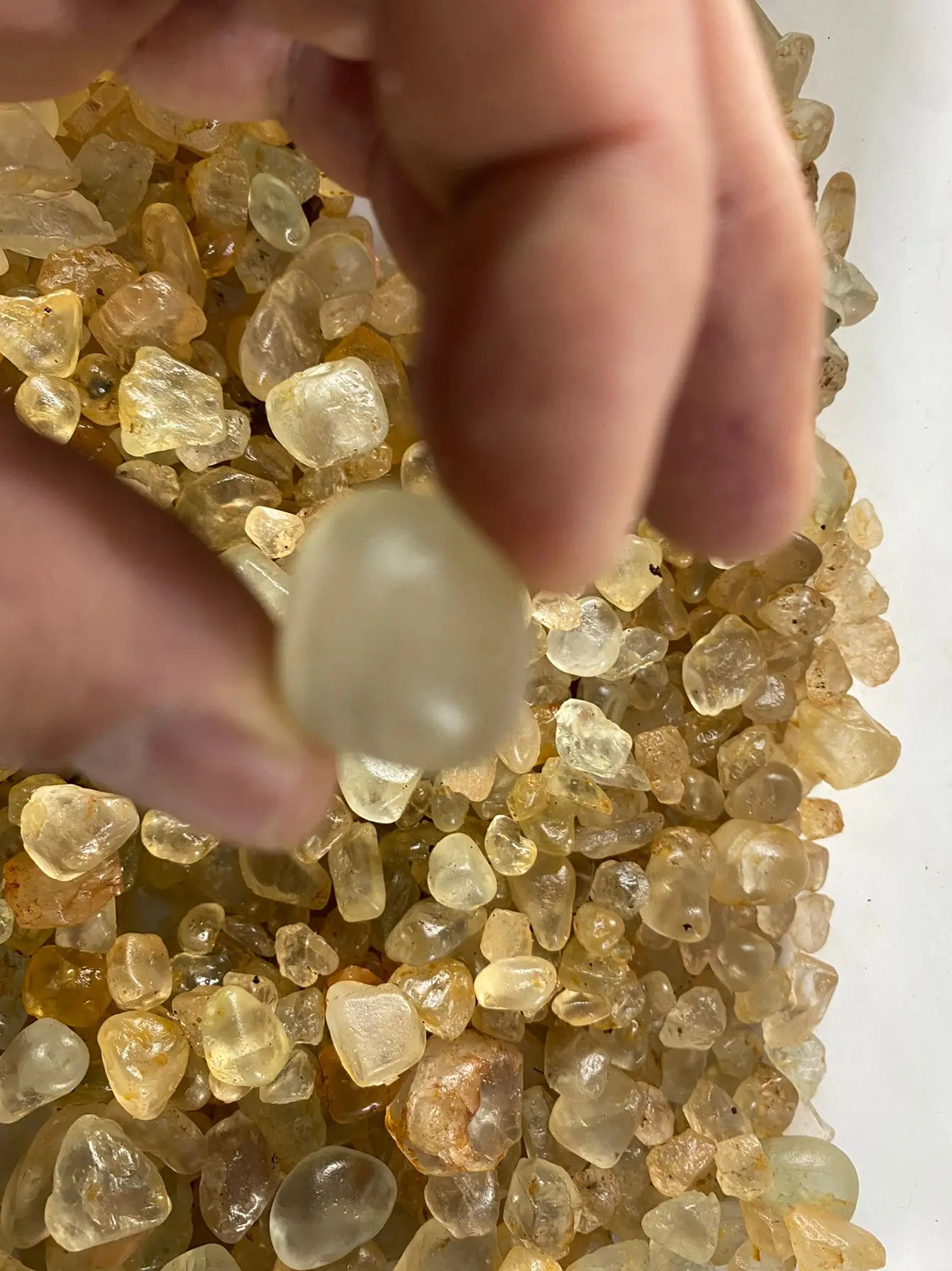 500 Carat Lot Natural Rough Topaz Crystals (Raw Yellow Gemstones, 100 Grams)