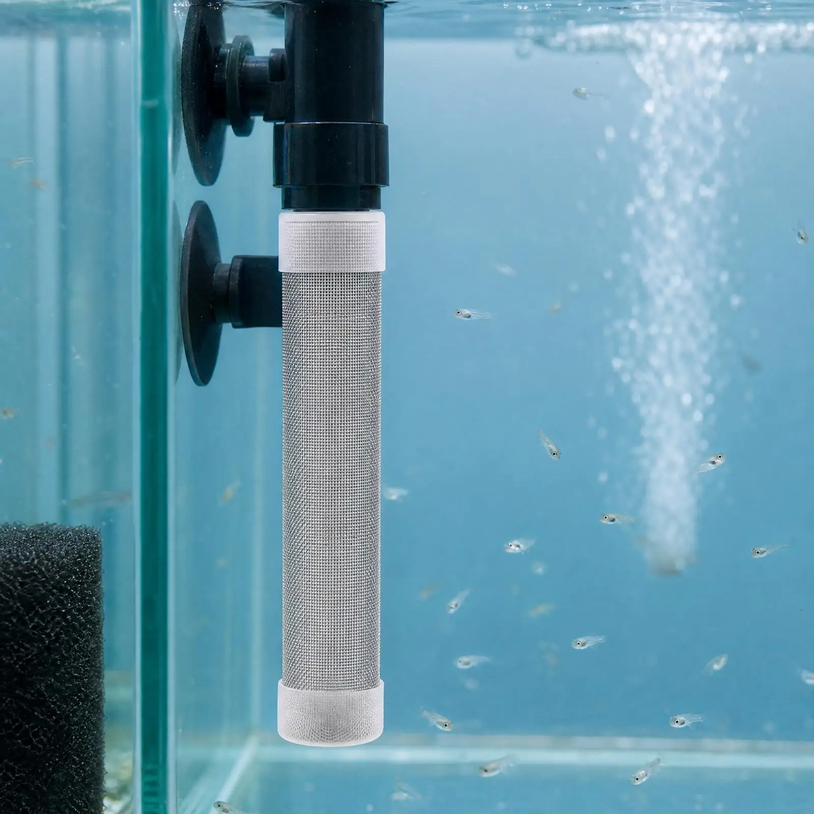 Juvenile Fish Strainer Inlet Protector Cylindrical Sleeve with End Rings Sturdy Stainless Steel Mesh Fish Guard for Breeding