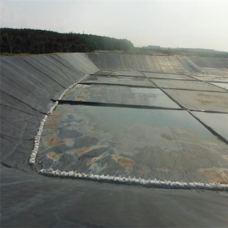 HDPE geomembrane Portable Extrusion Welding Torch dam liner sealer plastic welding machine