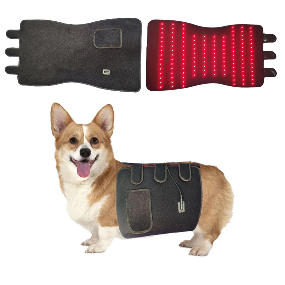 

Pet Physical Therapy Belt Chest And Abdomen Physical Therapy Care Dog Cat Infrared Light Therapy Hot Packs Post-Op Pain Relief