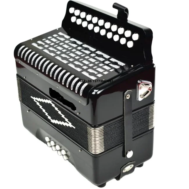 21-Key 8-Bass Button Accordion Professional Style Diatonic & Chromatic for Beginners Factory Outlet