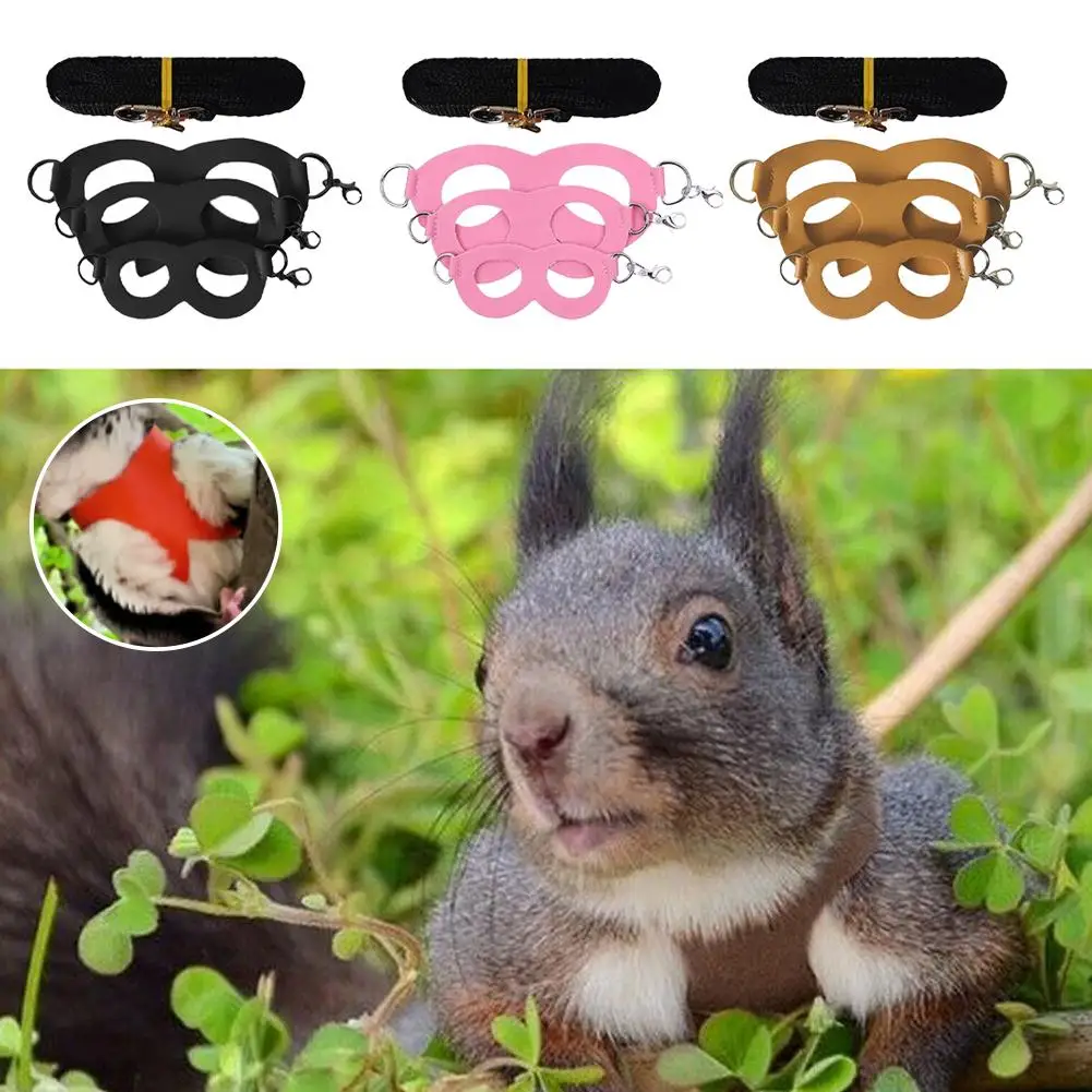 Kleines Haustier Traktion sseil Leder Material Anti-Escape und Anti-Biss-Seil für Hamster, Goldbären, Eichhörnchen und Eichhörnchen d2k8