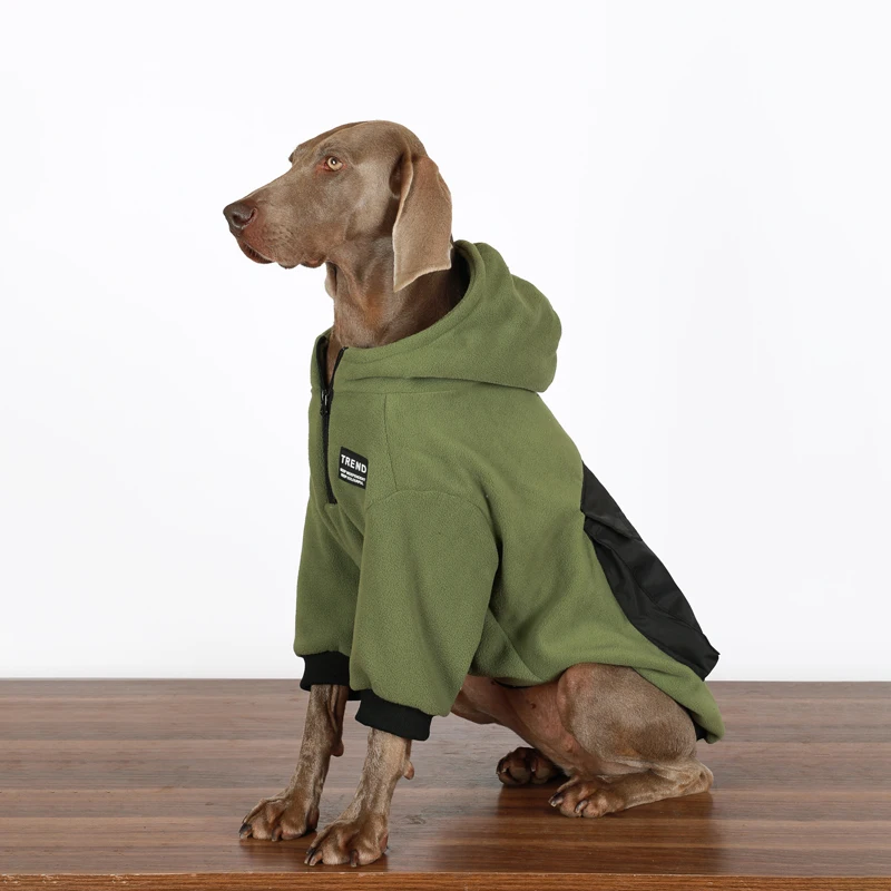 Spring Large Dog Jacket with Hoodie 2-Leeged Media Big Dogs Costume Fashion Design Golden Retriever Labrador Outfits in Winter