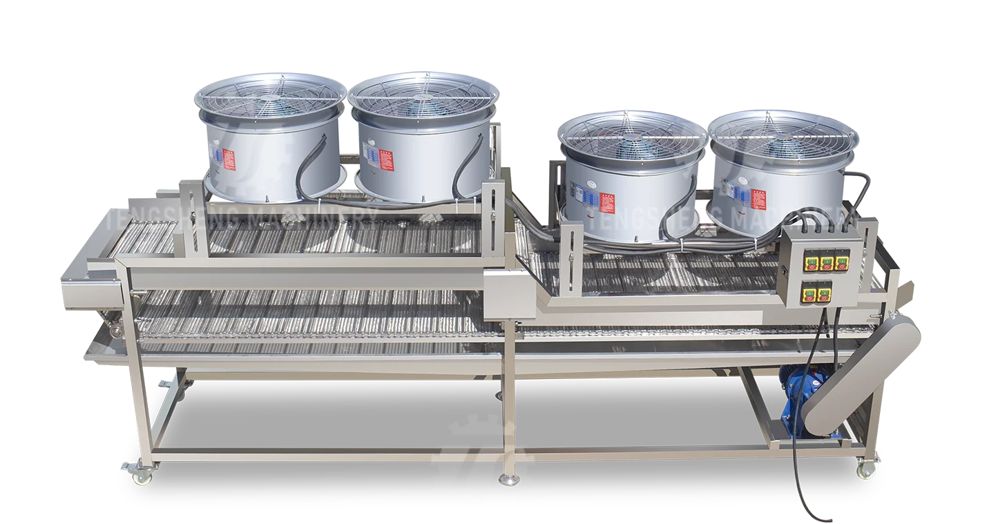 Automatic Fruit And Vegetable Roller Bubble Washing And Air-Drying Picking Line Date Tomato Apple Potato Sorting Machine
