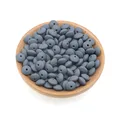 dim gray