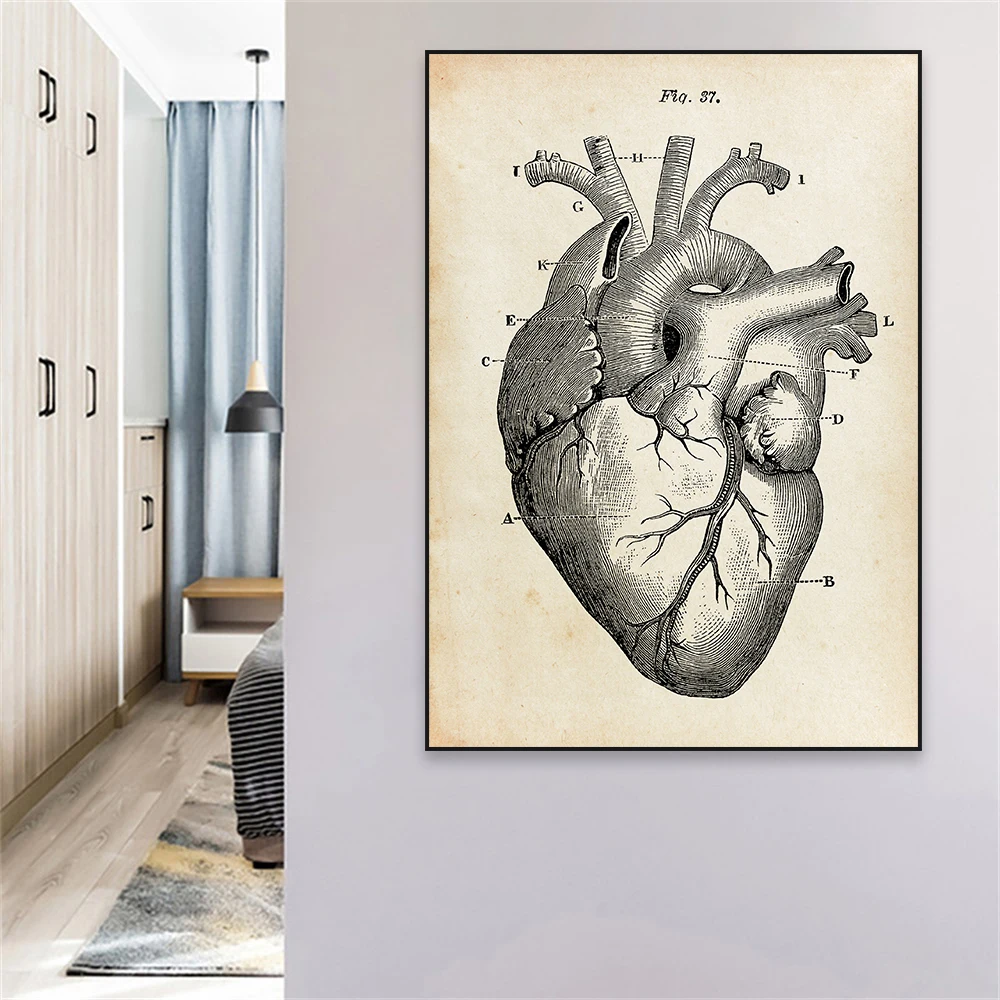 Anatomical Heart Vintage Medical Poster Antique Gothic Illustration Wall Art  Canvas Print Painting For Hospital Clinic Decor