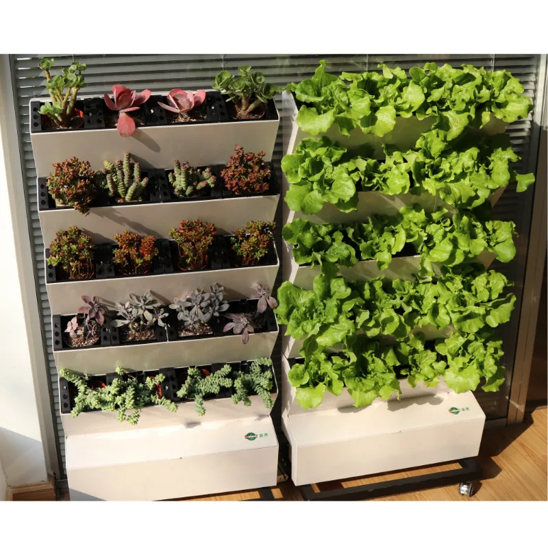 Véritables plantes vertes écologiques, support de fleurs mobile à roulettes, équipement végétal hydroponique de balcon