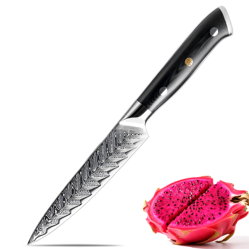 Damaststahl, 12,7 cm, Küche, kleines Kochmesser, Allzweckmesser, scharfes Obstmesser, Schälmesser, japanisches Schwarz, G10, ergonomischer Griff