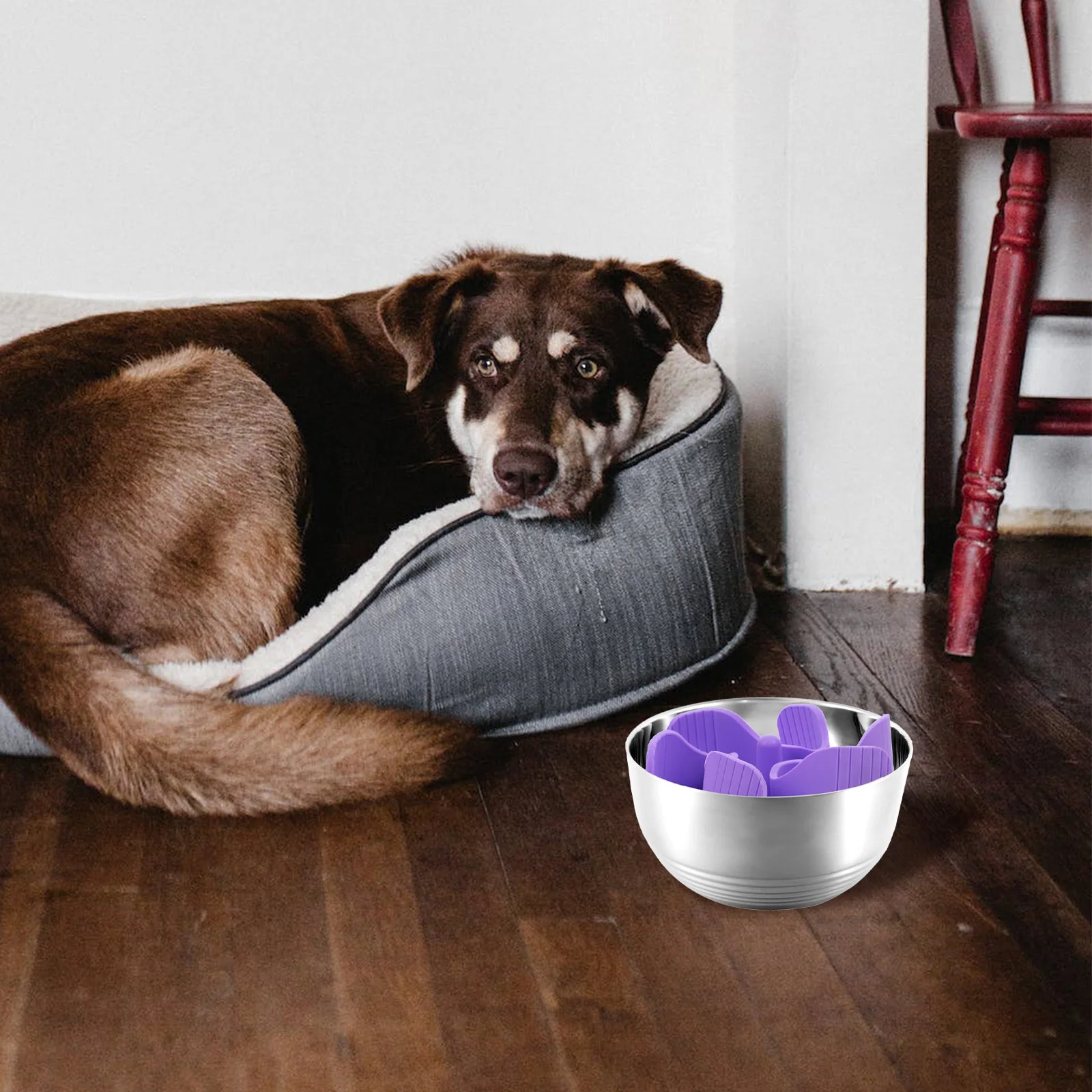 

Feeder Bowl Violet Small Soft Silicone Pet Slow Feeder Cat Bowl Insert Supplies Safe Slow Eating Dog Accessories