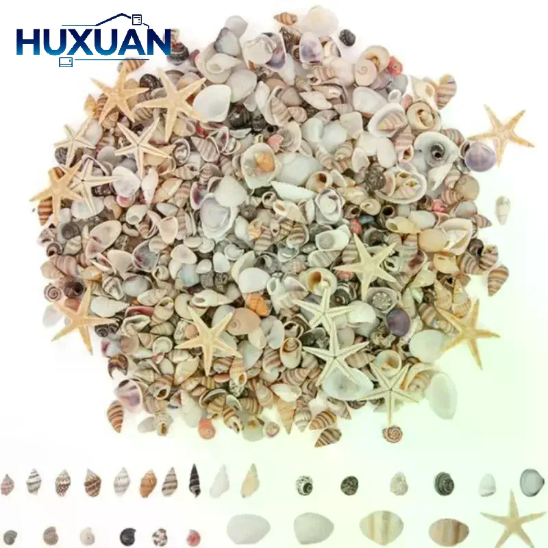 200/400/1000Pcs Mixed Small Spiral Conches Sea Shell Beads Loose Spacer Conches For DIY Craft Ornament Fish Tank Home Decor