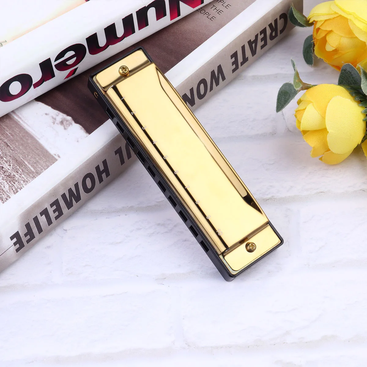 

Harmonica 10 Hole Music Instrument For Beginners Students Kids Exquisite Airtight Mellow Tone Teaching