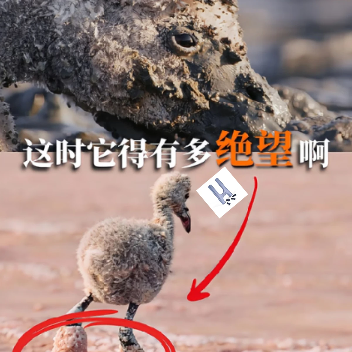 

Крепление центрального дифференциала GPM Alu 7075 для Kraton Notorious Outcast Mojave 6S ARRMA Быстрая доставка и беспокойство после продажи