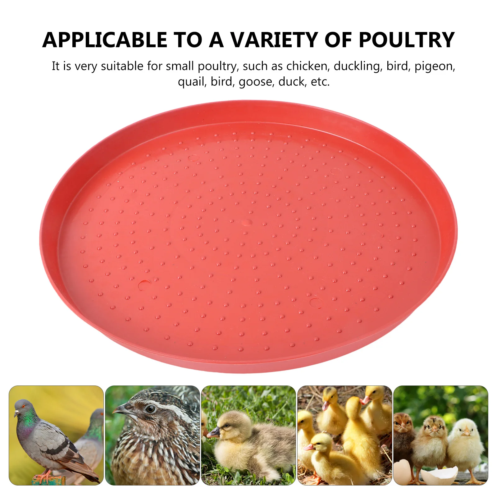 

Chicken Starter Plate Poultry Feeders Feeding Accessories Food Bowl Fodder Container Tray