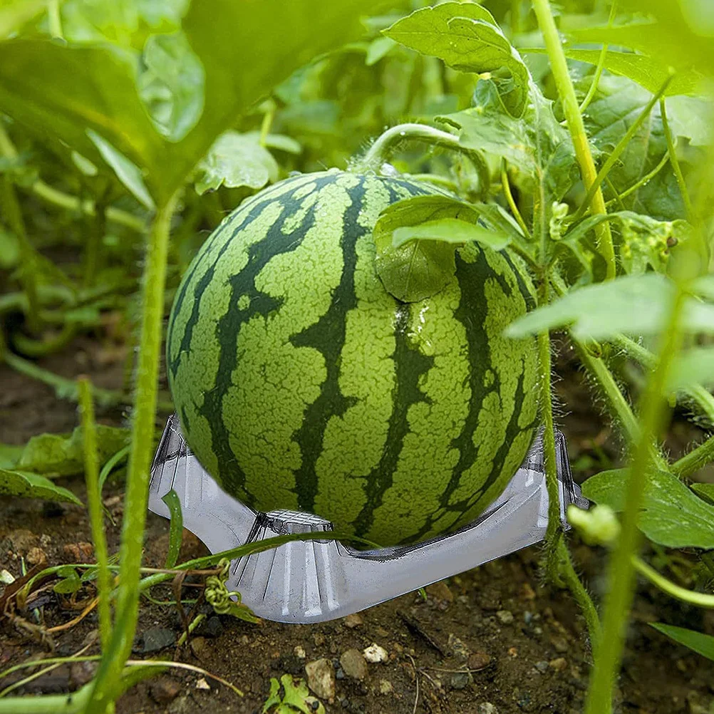 

50Pcs Watermelon Holder Support Stand Plastic Melon Garden Tray for Growing Watermelon Cantaloupe Melon Fruit Plant Supports