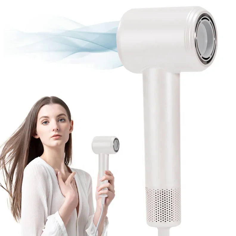 Electric Diffuser Ionic Dc Motor 36v to Hair Dryer Low Radiation High Speed Hair Dryer Professional Long Life AC Motor 2 Years