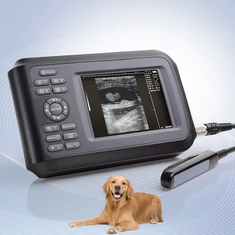 Sunwell portable digital pet sheep cow  ultrasound machine vet portable ultrasound veterinary