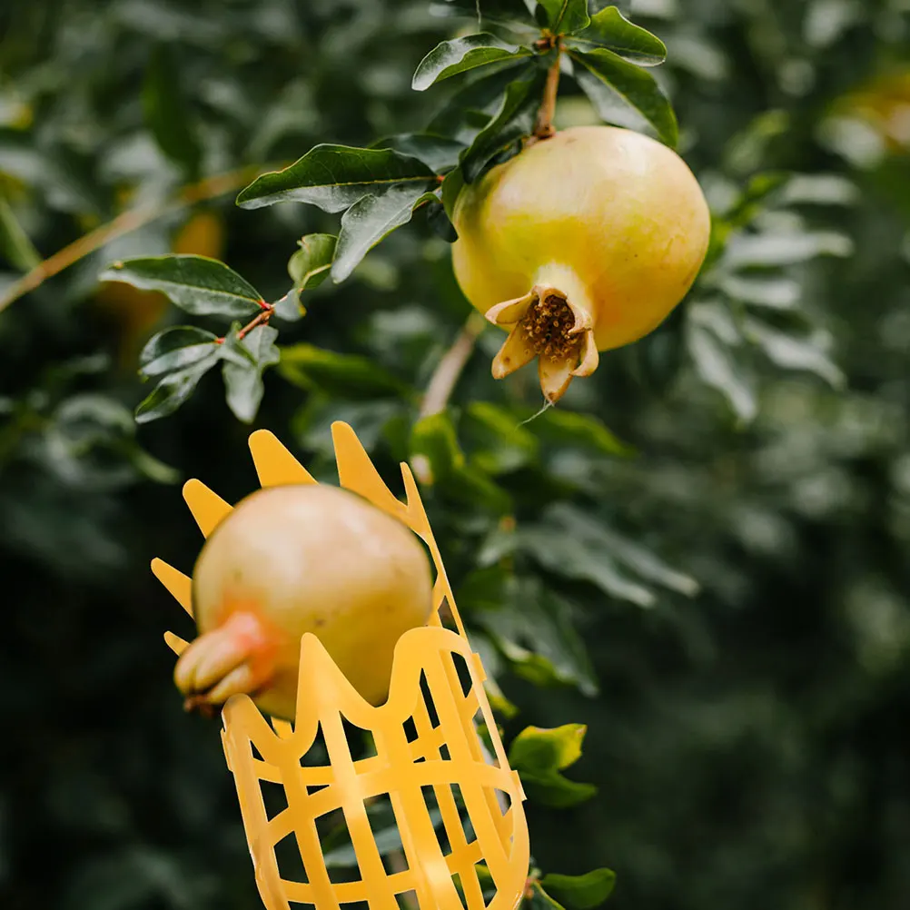 

2Pcs Fruit Picker Durable PP Material Adjustable Length Gardening Basket Tools Apples Pears Peaches Kiwis Oranges Outdoor Use