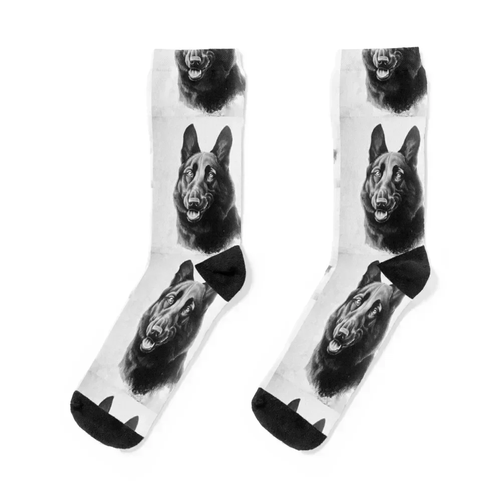 

Black German Shepherd Dog Socks new in's Rugby moving stockings Wholesale Man Socks Women's