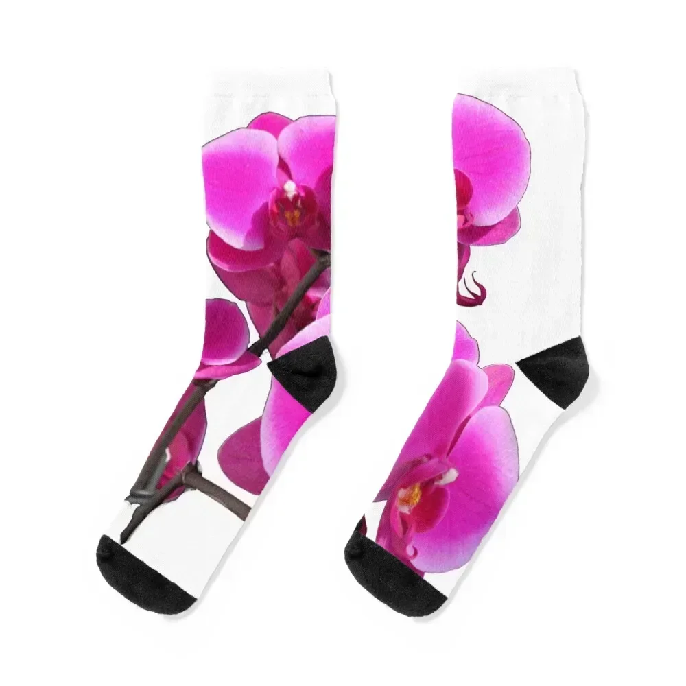 

Delicate Pink Fuchsia Socks Rugby essential loose designer brand Men's Socks Luxury Women's