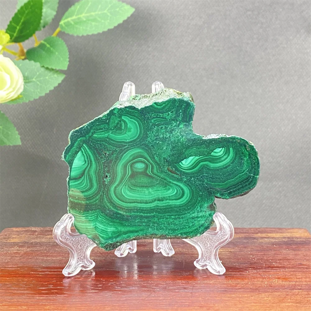 Natural Malachite Crystal Slices Polished Slab Mineral Specimen for Healing Meditation Home Decor - Beautiful Shelves Included