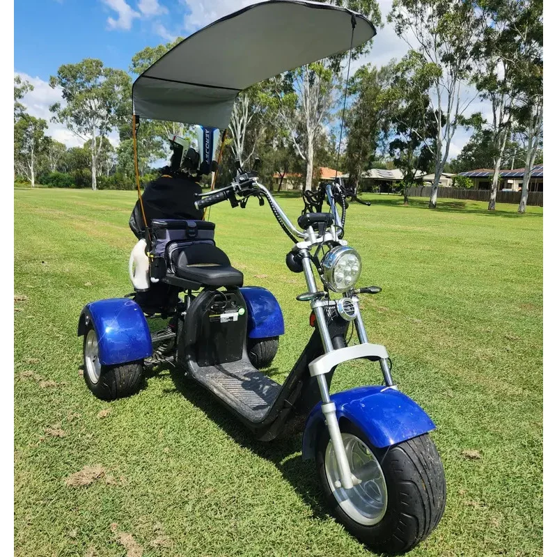 

ZAIQU australia market Electric Cart 2 Passengers High Quality By Max Customized Motor Lithium Battery Controller